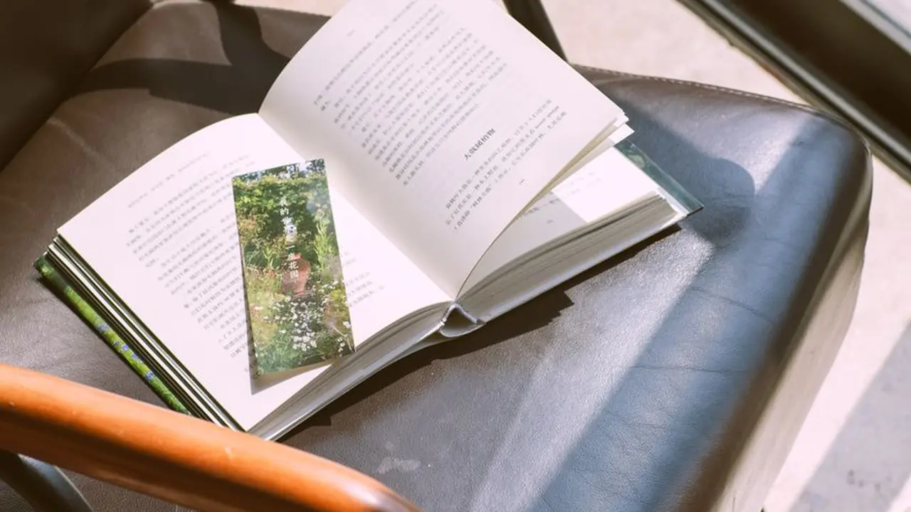 快播在线播放重温经典影视的便捷选择
